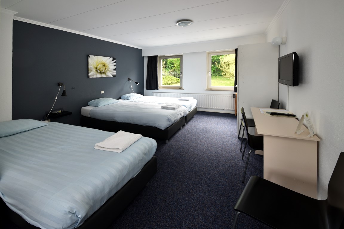 Kamers De woonkamer kleuren ontwerp wit paars